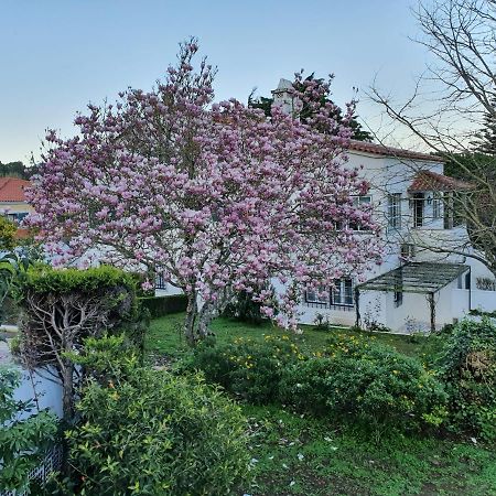 Comfy Sintra Bed & Breakfast Eksteriør bilde