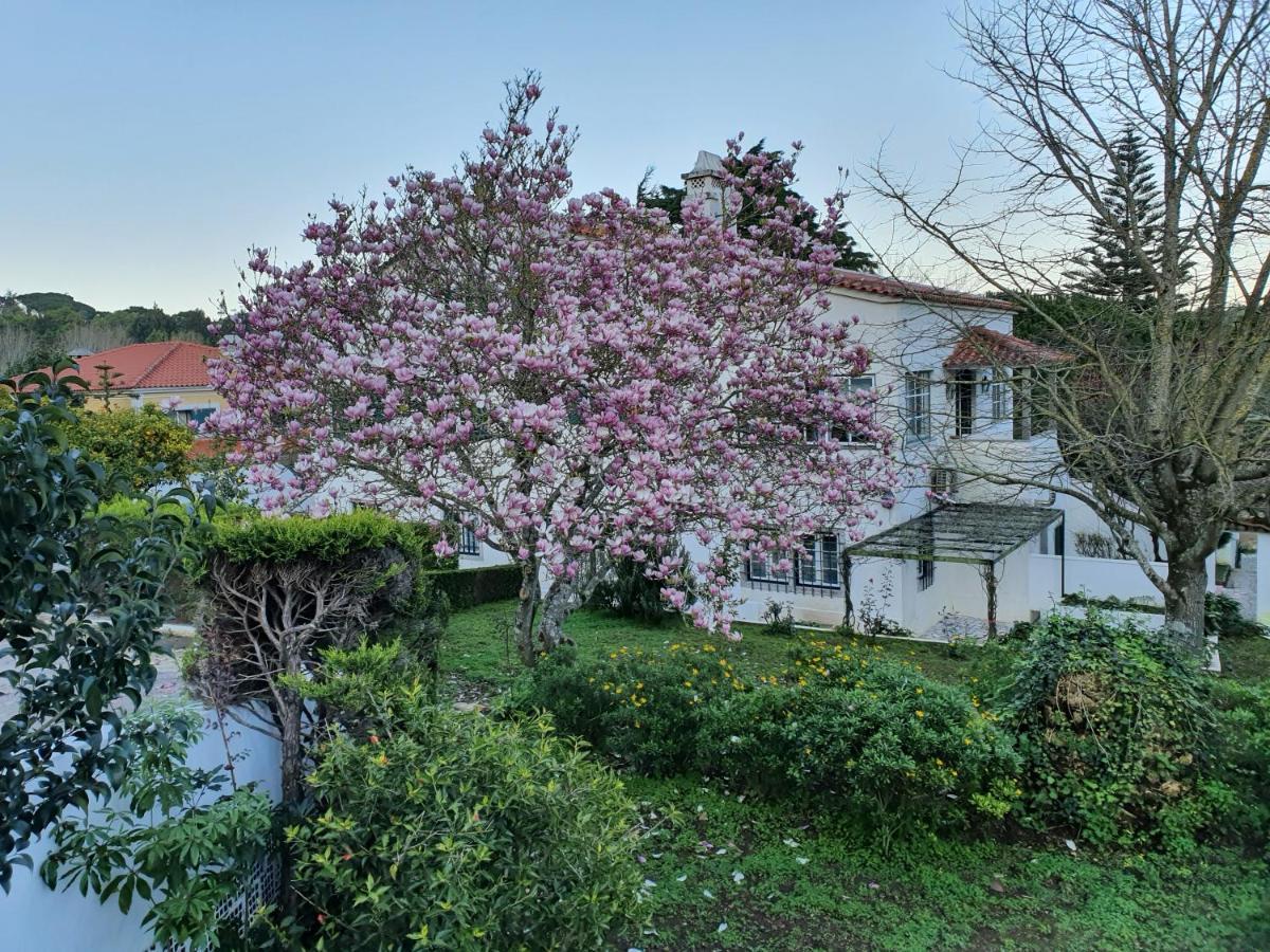 Comfy Sintra Bed & Breakfast Eksteriør bilde