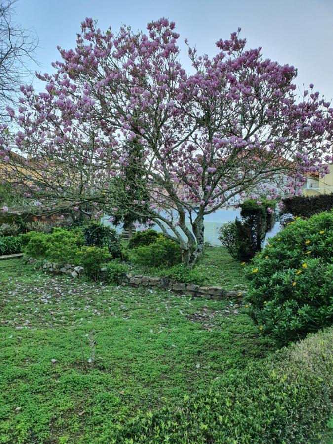 Comfy Sintra Bed & Breakfast Eksteriør bilde